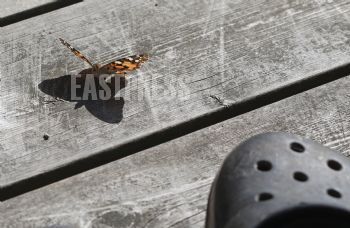EA269040, Eastpress , Porvoo, Finland